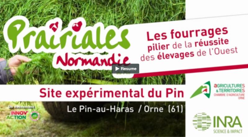 PRAIRIALES Normandie du Pin