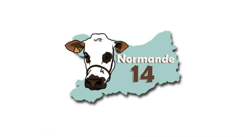 Concours dpartemental de la race normande du Calvados